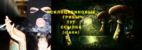 стафф Алзамай